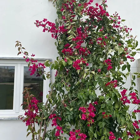 W.h.house منزل للإقامة اتوغويه ده باليه